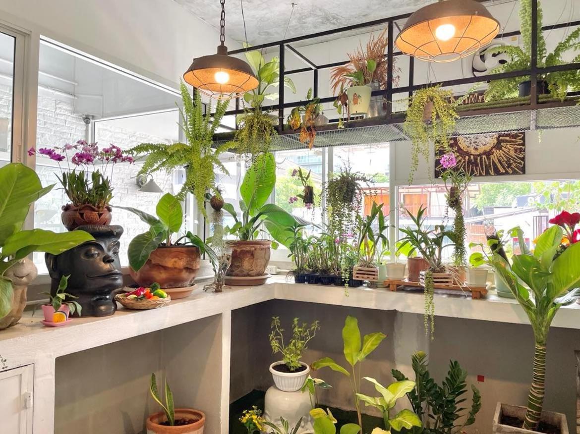 Cafe Home شيانغ ماي المظهر الخارجي الصورة